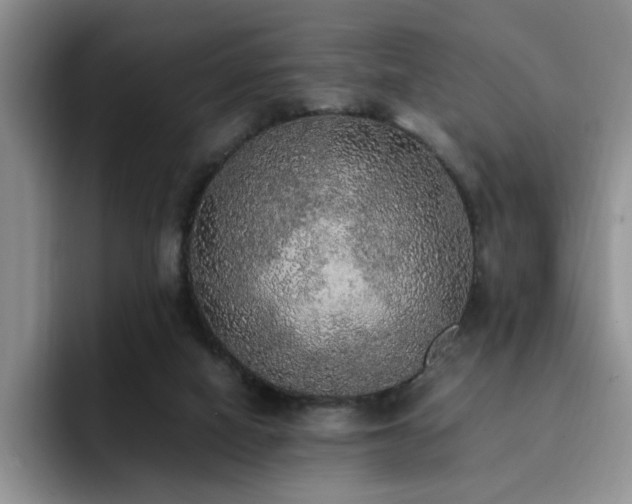X0000092330066200709141427