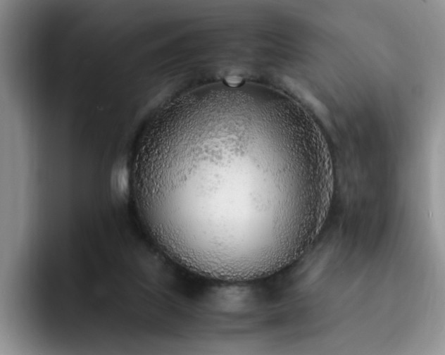 X0000092330067200709141427