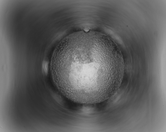X0000092330070200709141427