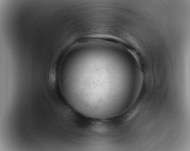 X0000092330072200709141427