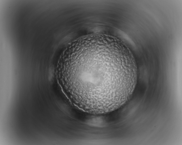 X0000092330073200709141427