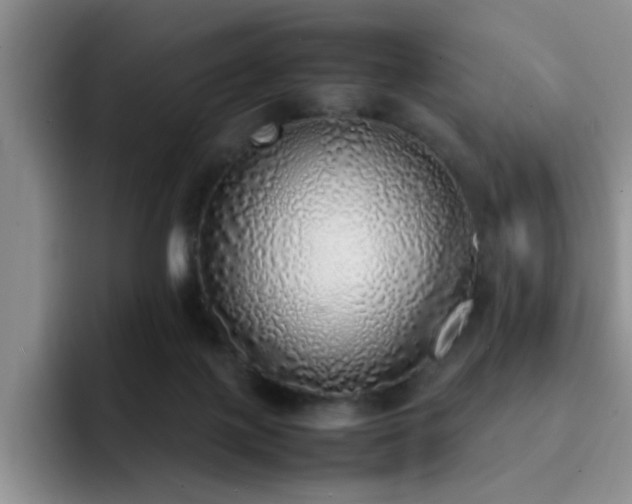 X0000092330075200709141427