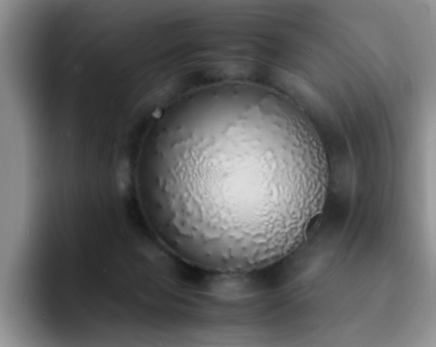 X0000092330077200709141427