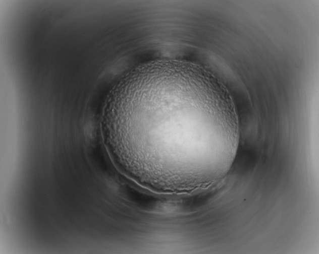 X0000092330078200709141427