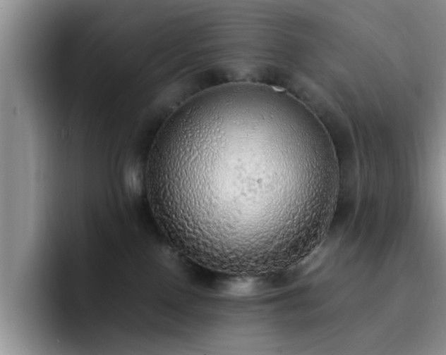 X0000092330090200709141427