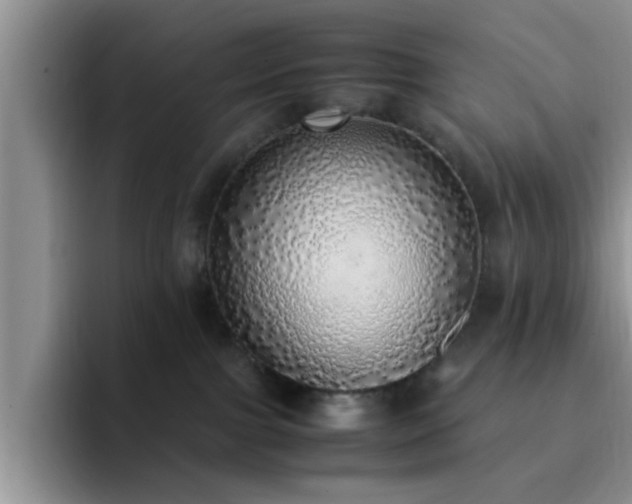 X0000092330091200709141427