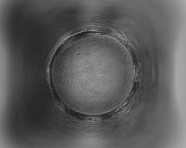 X0000092330099200709141426