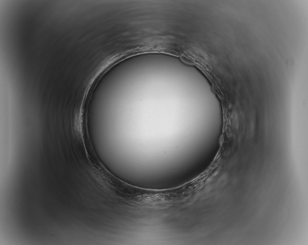 X0000092330100200709141426