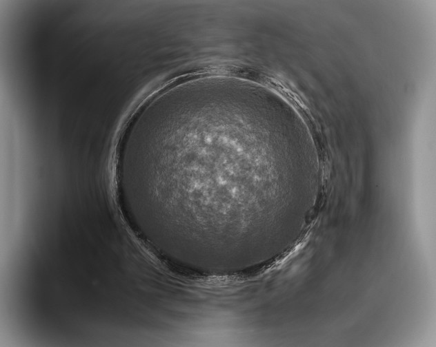 X0000092330101200709141426