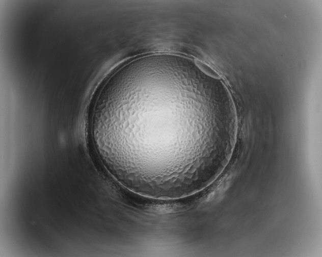X0000092330103200709141426