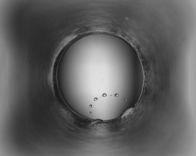 X0000092330104200709141426