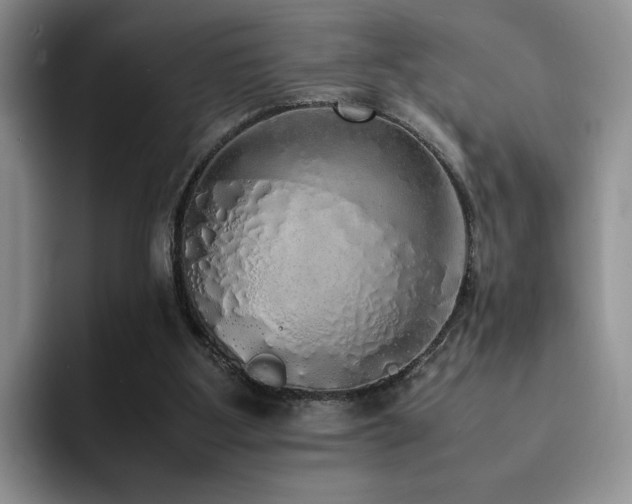 X0000092330107200709141426