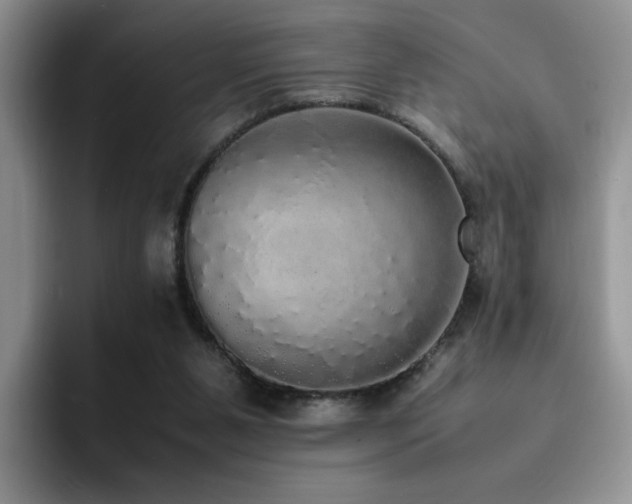 X0000092330111200709141426