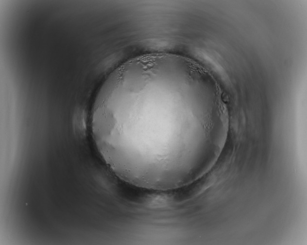 X0000092330115200709141426