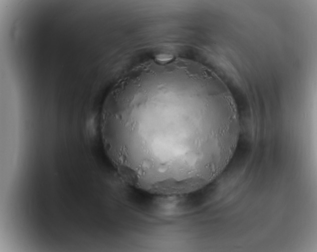X0000092330131200709141426