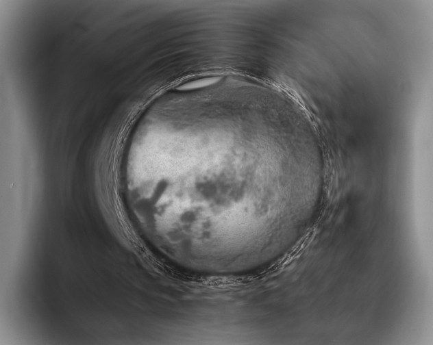 X0000092330145200709141425