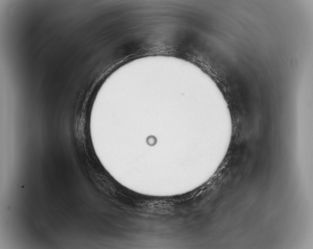 X0000092330146200709141425