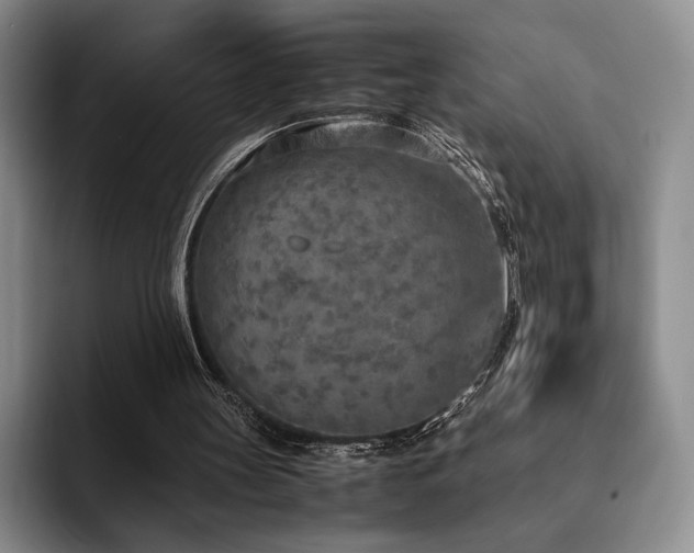 X0000092330147200709141425