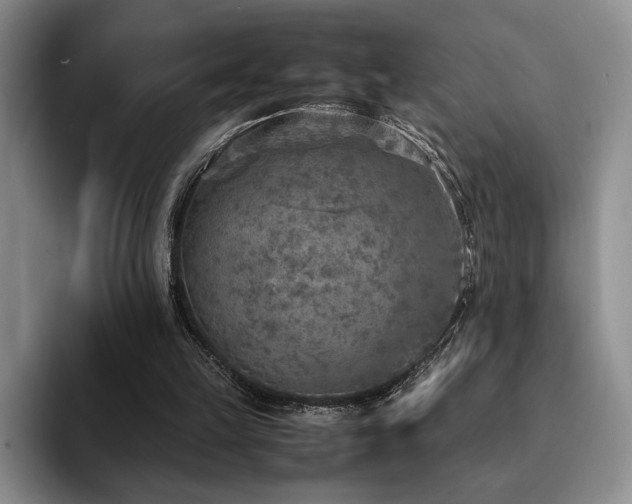 X0000092330149200709141425