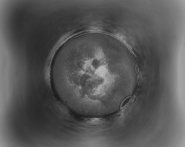 X0000092330151200709141425