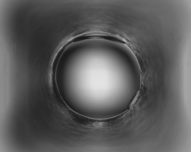 X0000092330152200709141425