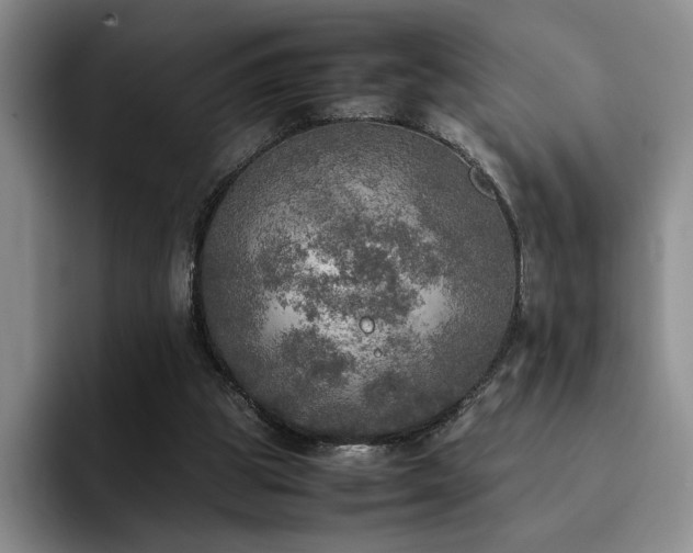 X0000092330153200709141425