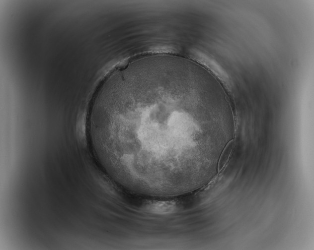 X0000092330155200709141425