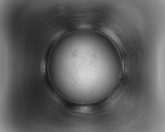 X0000092330157200709141425