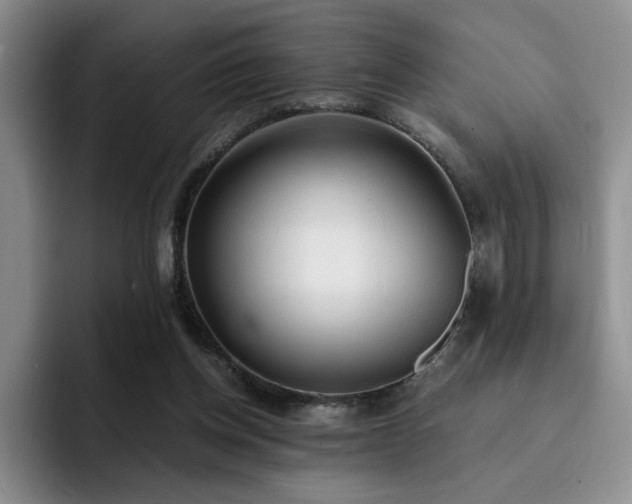 X0000092330158200709141425