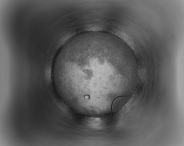 X0000092330159200709141425