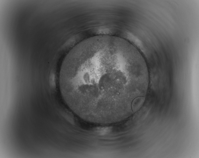 X0000092330161200709141425