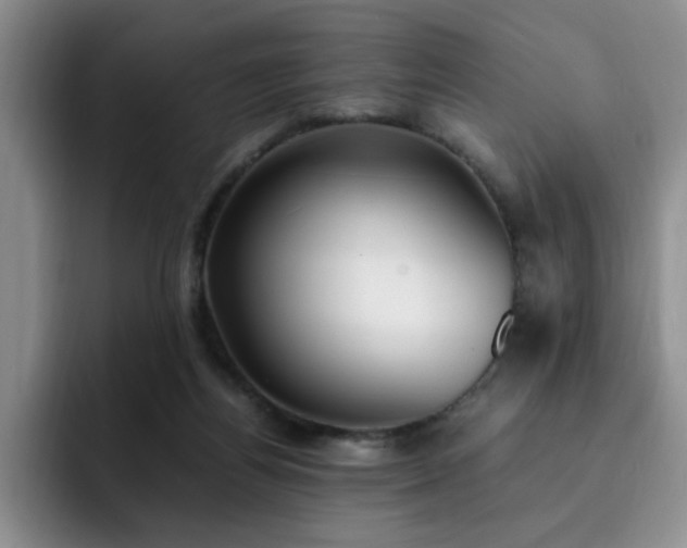X0000092330164200709141425