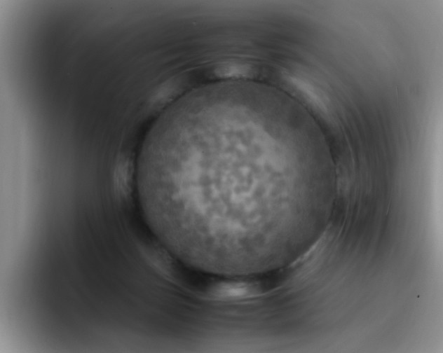 X0000092330171200709141425