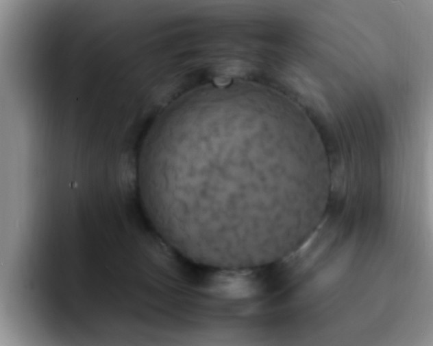X0000092330179200709141426
