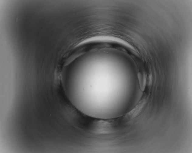 X0000092330180200709141426