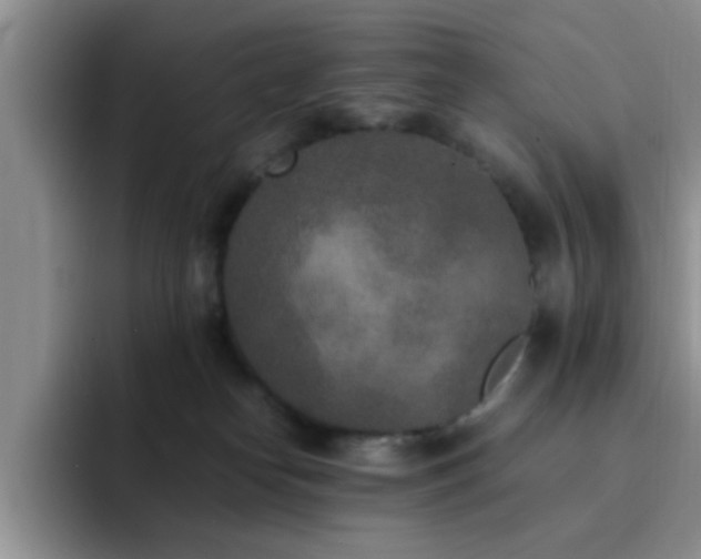 X0000092330182200709141426