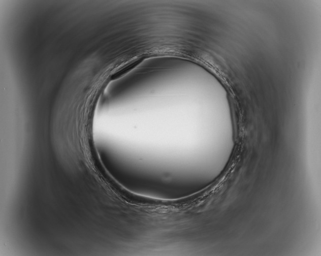 X0000092330193200709141425