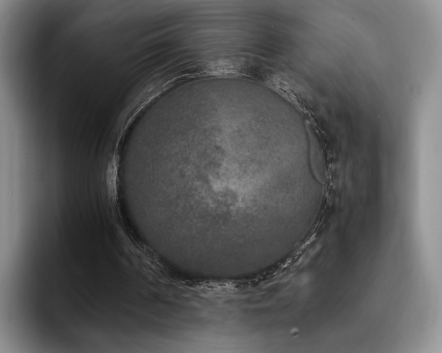 X0000092330194200709141425