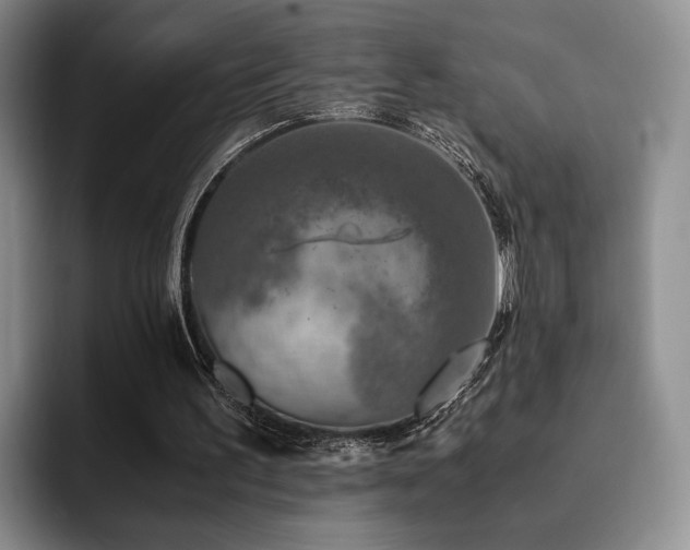 X0000092330195200709141425