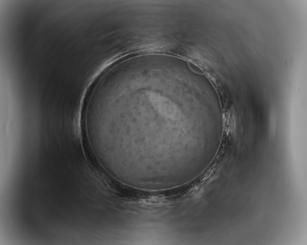 X0000092330196200709141425