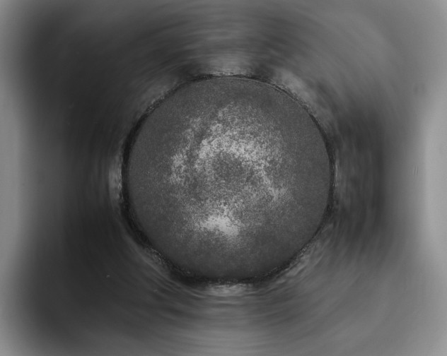 X0000092330202200709141425