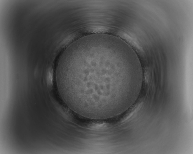X0000092330206200709141425