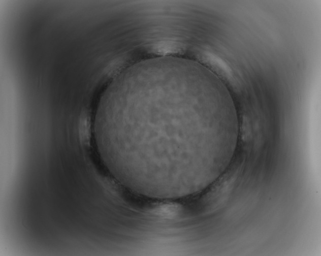 X0000092330210200709141425