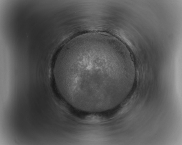 X0000092330211200709141425