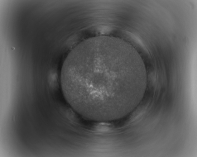 X0000092330222200709141425