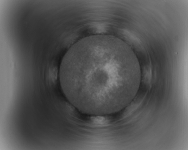 X0000092330230200709141425