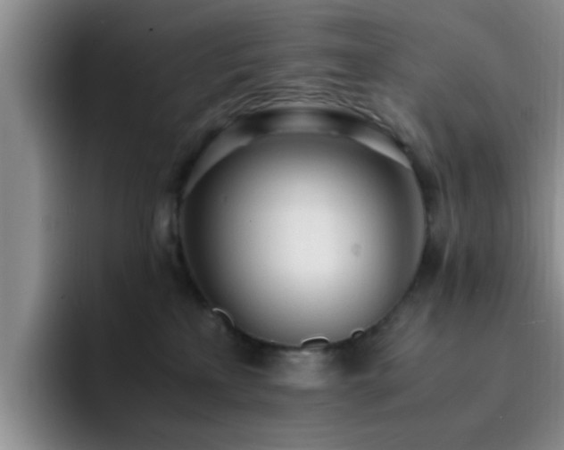 X0000092330233200709141425