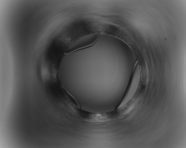 X0000092330239200709141425