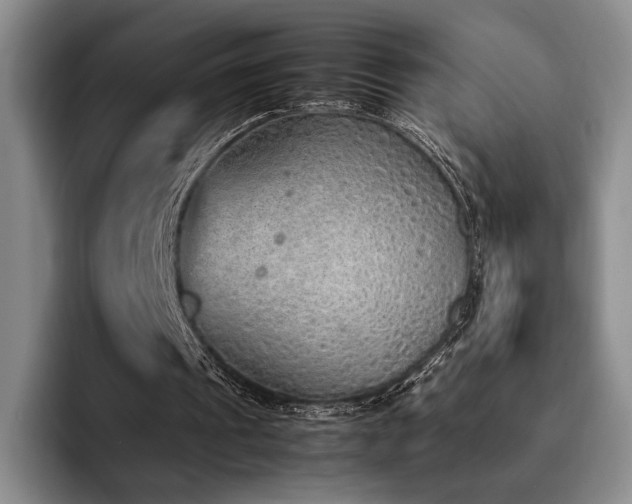 X0000092330241200709141424