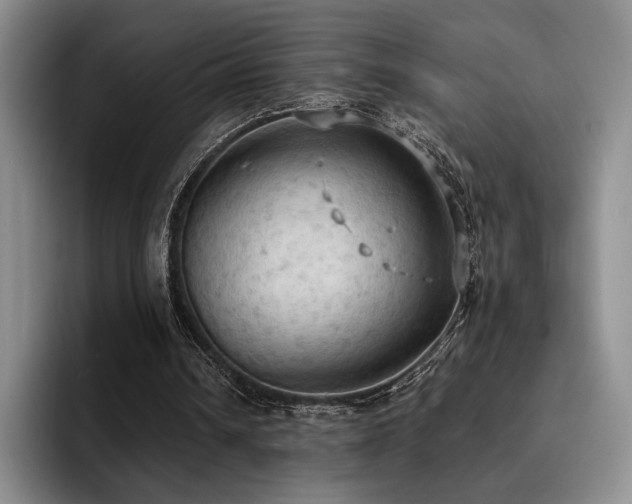 X0000092330242200709141424